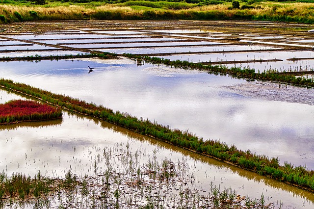 Three Amazing Salt Facts to improve your cooking - cooking at home is fun